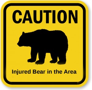 Troopers warn the public of an injured bear on West Rezonof. Image-ANN
