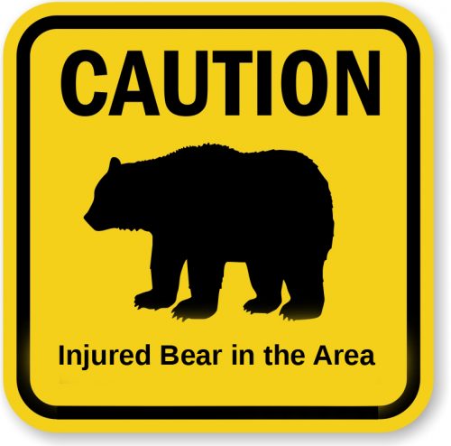 Troopers Warn Public of Injured Bear on West Rezanof