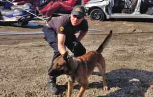 K9 "Helo," seen here during an exercise in 2013, died from gunshot injuries during a suspect pursuit. Image-AST