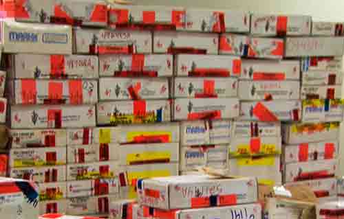 New Legislation Calls for Testing of Rape Kits within Six Months