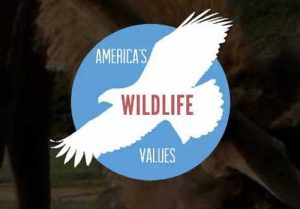 America's Wildlife Values logo