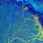 The delta of the river Lena, one of the largest rivers in the world. by ESA (European Space Agency)