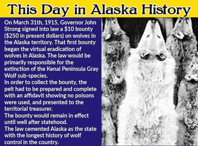 This Day in Alaskan History-March 31st, 1915