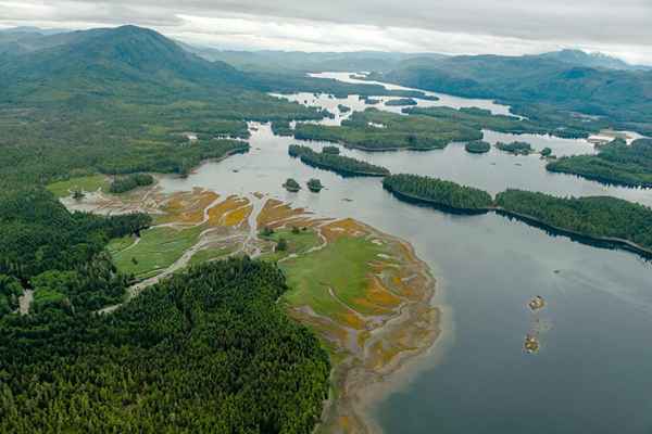 Tribes Issue Joint Letter Urging Canada to Address Growing Crisis of Mining Pollution in British Columbia