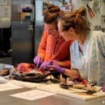 Seabirds are examined in Santa Cruz, CA for health, diet, and plastic ingestion metrics.