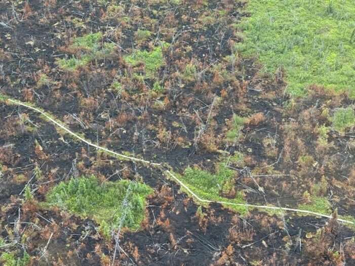 BLM ends fire closure in the White Mountains National Recreation Area