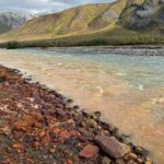 Orange, metallic water enters the Igning River. Scientists attribute the color change to melting permafrost, which interacts with the soil to produce highly metallic, "rusted" water — an increasing global phenomenon in regions where permafrost is present. (Taylor Evinger/UC Davis)