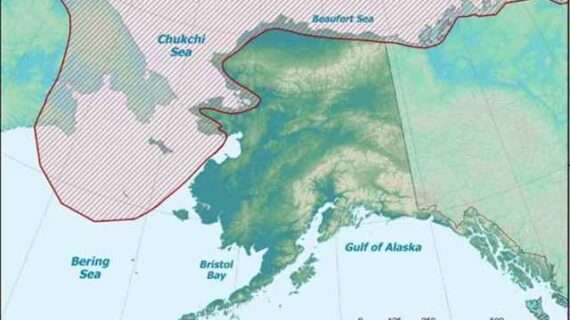 Polar Bears of the Past Survived Warmth