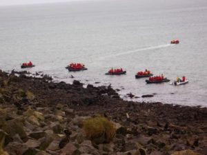 Tourist boats approach Northern fur seal breeding area August 15, 2016. NOAA/Rod Towell