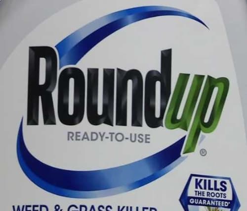UW study: Exposure to chemical in Roundup increases risk for cancer
