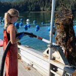 Roxy Reynolds hoses down oyster nets at Moss Island Oyster Farm. Photo by Sean Crosby.