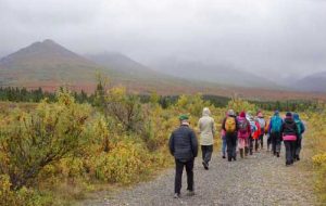 A class of sixth-graders from Fairbanks attended the Denali Science School, a three-day program in Denali National Park and Preserve. Ned Rozell photo.