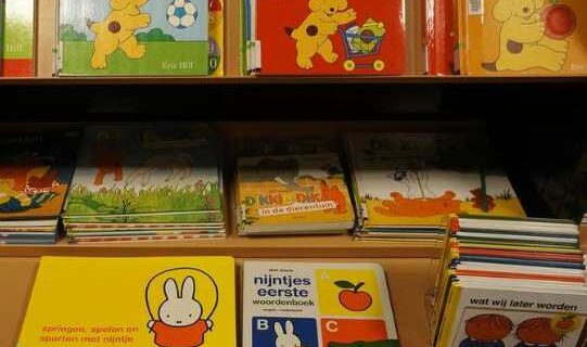 Librarians and Publishers Alarmed as Tennessee Libraries Shut Down for GOP ‘Book Purge’