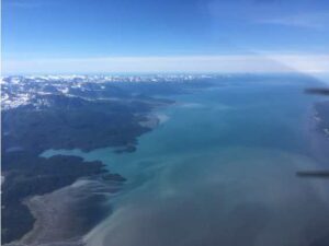 Photo by Martin Stuefer
Multiple glacial streams carry turbid glacial runoff into Kachemak Bay in this aerial view looking southwest from the head of the bay toward Homer on June 30, 2021.