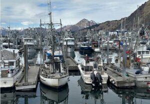 Port of Kodiak. Credit: NOAA Fisheries / Paul Hillman.
