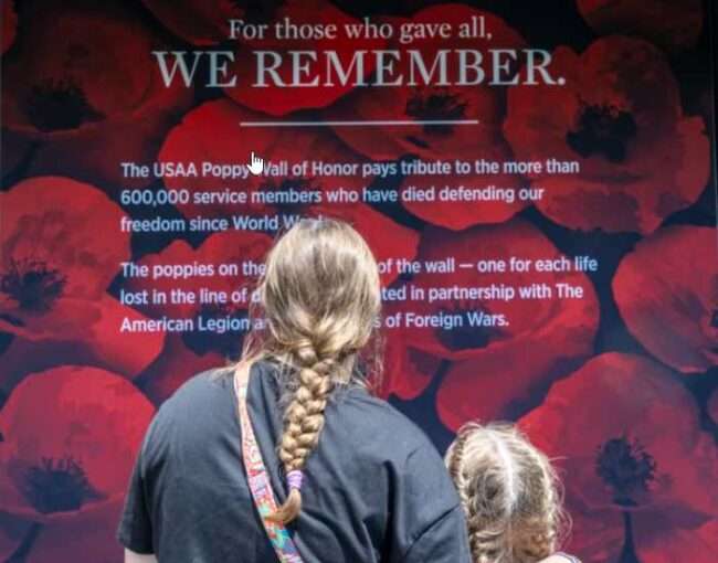 Visitors are seen at the USAA Poppy Wall of Honor at the National Mall in Washington