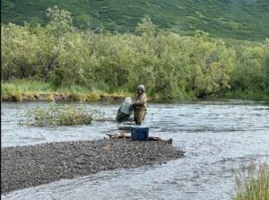 Chief Warrant Officer 3 Nick Lime, an aviation maintenance technician and crew chief assigned to Delta Company, 2-211th General Support Aviation Battalion, inspects and removes the missing rafter’s pack raft from the Goodnews River. Courtesy Photo Alaska National Guard