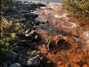 A tributary of the Akillik River in Kobuk Valley National Park in August 2018 after it had turned rusty orange. Photo by Jon O’Donnell.
