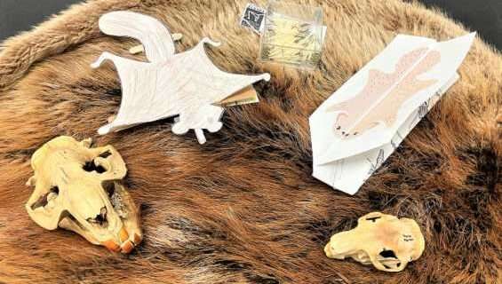 January museum programs focus on rodents