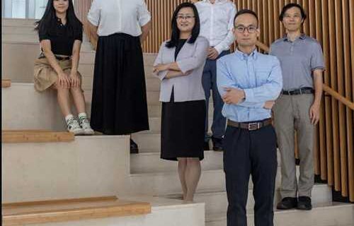HKUST Researchers Unlock Why Arctic Ice Melt Paused