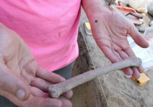 Archaeologist François Lanoë holds an 8,000-year-old bone that may have belonged to a dog and was unearthed recently near Delta Junction.
