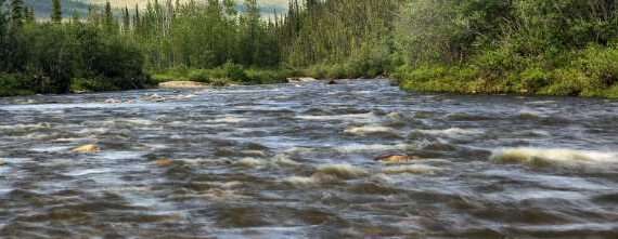 BLM approves management plan for Birch Creek Wild and Scenic River