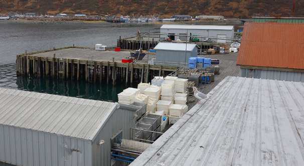 How a Risky State Investment in Seafood Cost Alaskans Millions and Left a Fishing Town in Crisis