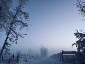 Photo by Sara Eliza Johnson. Ice fog shrouds a Fort Wainwright neighborhood near Fairbanks on Dec. 31, 2025.