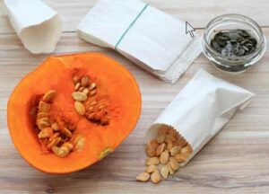 Photo by svehlik/iStock
Learn to save, store and germinate seeds from plants, such as this pumpkin, in a free webinar.