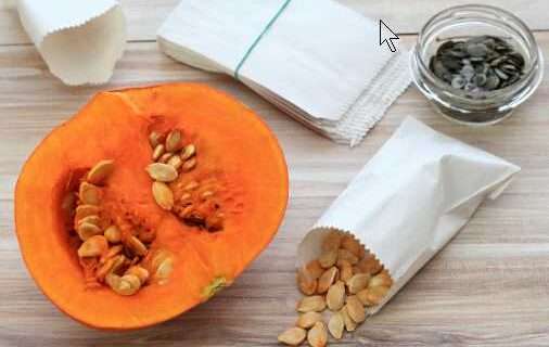 Learn to save seeds for future generations of plants