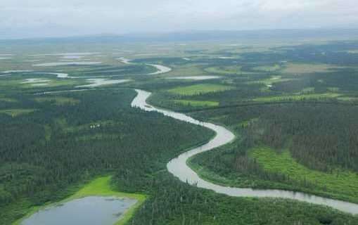 As salmon disappear in warming rivers, Indigenous communities face an uncertain future