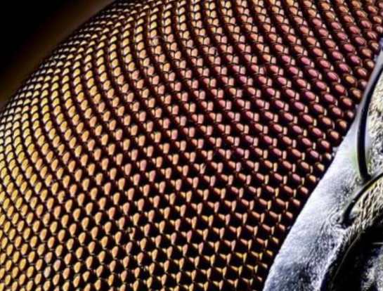 ‘She’s Lying’: Journalist Exposes Secret Watch Lists That Trump Official Says Don’t Exist