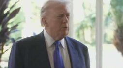 ‘Lying or Demented’: Trump Mocked For Claiming He Was ‘Not Involved’ With Losing Candidate He Endorsed