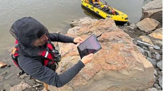 The lost world of northern dinosaurs