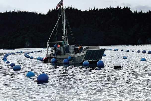 NOAA Fisheries Releases New State of Alaska Aquaculture Report