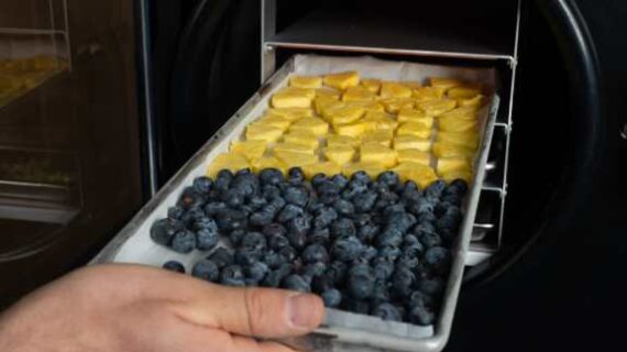 Palmer workshop to discuss home freeze-drying