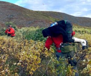 Alaska Air National Guard Maj. Dan Warren (right), 212th Rescue Squadron combat rescue
officer, and Master Sgt. Harry Bromley, 212th RQS pararescueman, evacuate an injured
airplane pilot Aug. 30, 2024