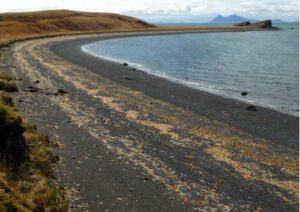 Photo: Sandy beach on the eastern shore of Alitak Bay, AM867.
