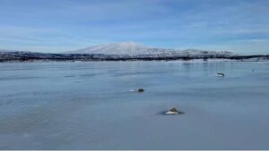 When ice freezes and thaws repeatedly, chemical reactions are fuelled that can have significant impact on ecosystems. The photo was taken in Stordalen, Abisko. Credit-Jean-François Boily