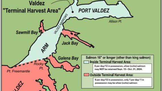 Valdez Terminal Harvest Area Coho Salmon Sport Fishery Closed