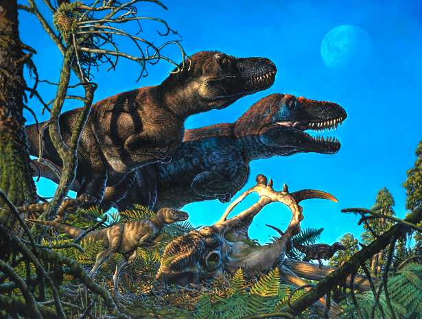 Dinosaur study challenges Bergmann’s rule