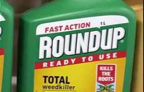 New Roundup Is 45 Times More Toxic