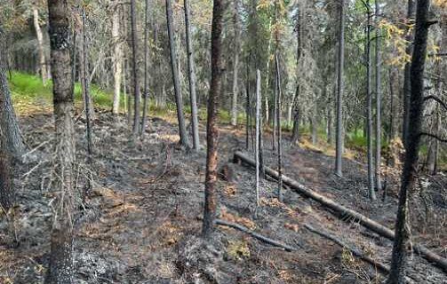 Wet weather continues Saturday as Idaho Team 1 IMT 3 prepares to take command of McDonald Fire