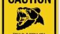 Brown Bear Mauls Kenai Woman on her Deck