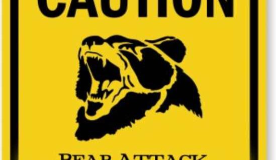 Sitka Man Dies in Bear Mauling While Out Hunting