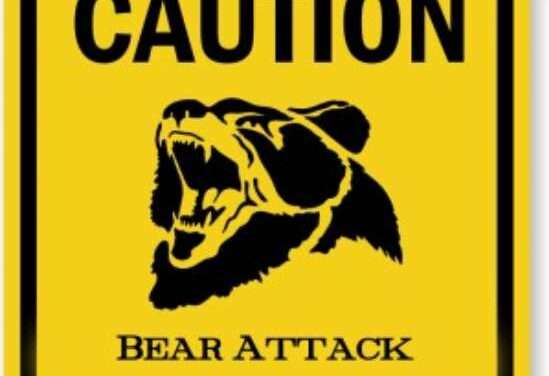Brown Bear Mauls Kenai Woman on her Deck