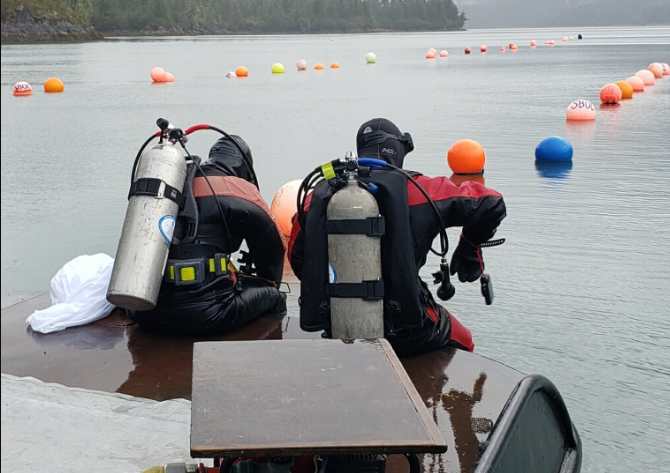 Five-year project will study climate effects on Alaska marine species