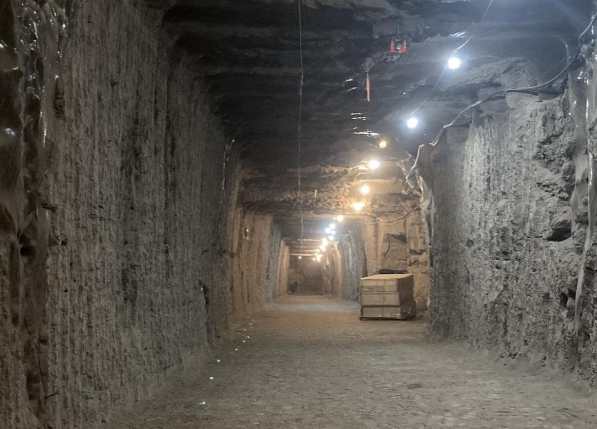 Researchers wake up microbes trapped in permafrost for thousands of years