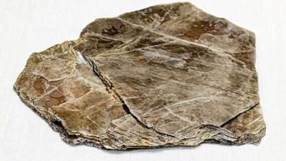 New study: Earthquake prediction techniques lend quick insight into strength, reliability of materials