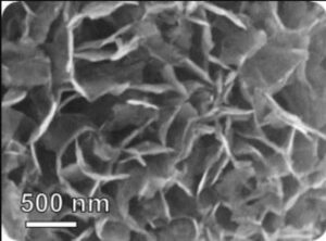 These nanoflakes show promise in detecting lung cancer by sensing a change in breath chemistry.
Adapted from ACS Sensors 2024, DOI: 10.1021/acssensors.4c01298